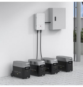 ECO FLOW SMART HOME PANEL