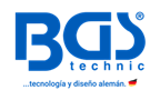 BGS